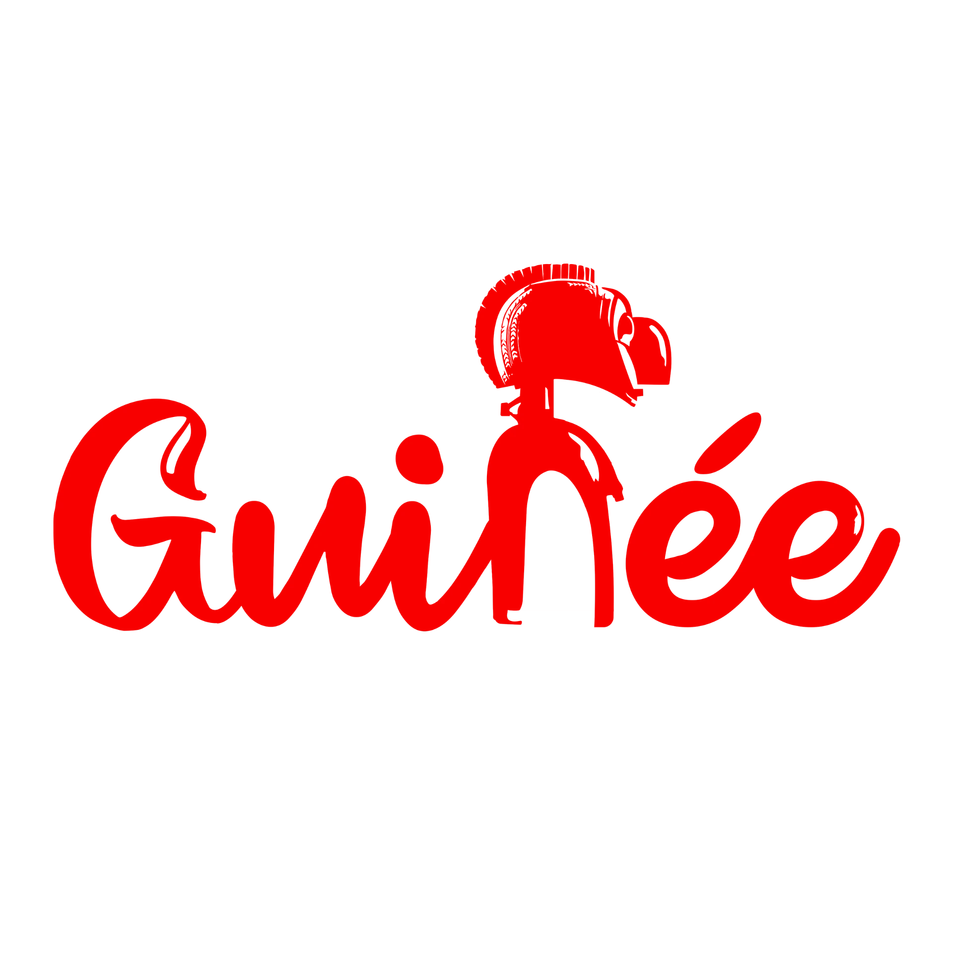 Guinée Branding